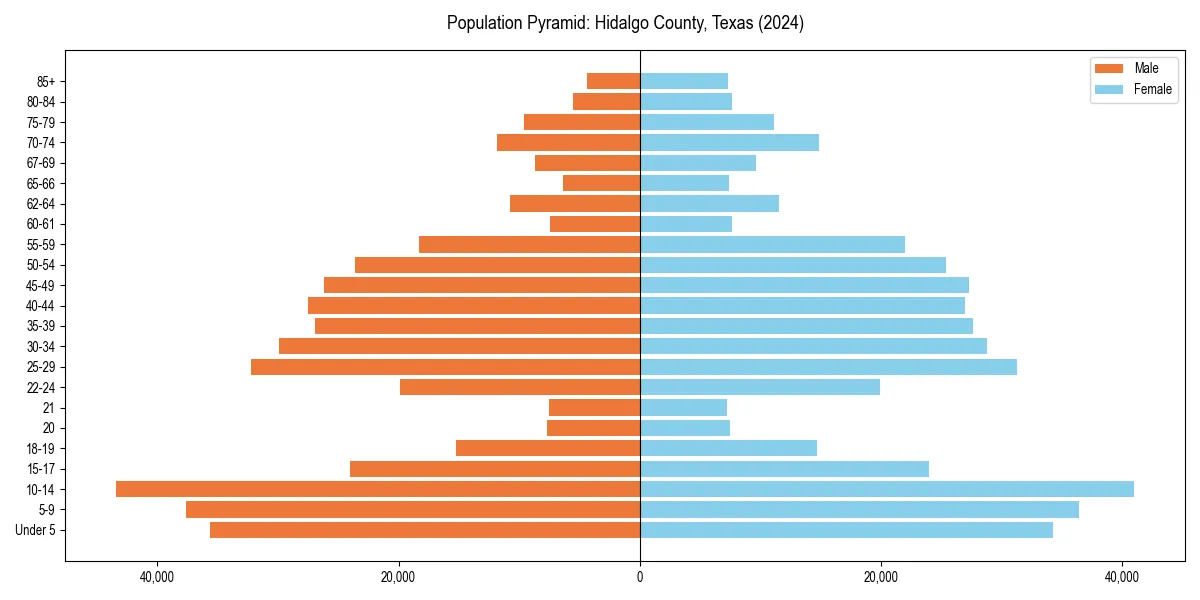 Population pyramid for 