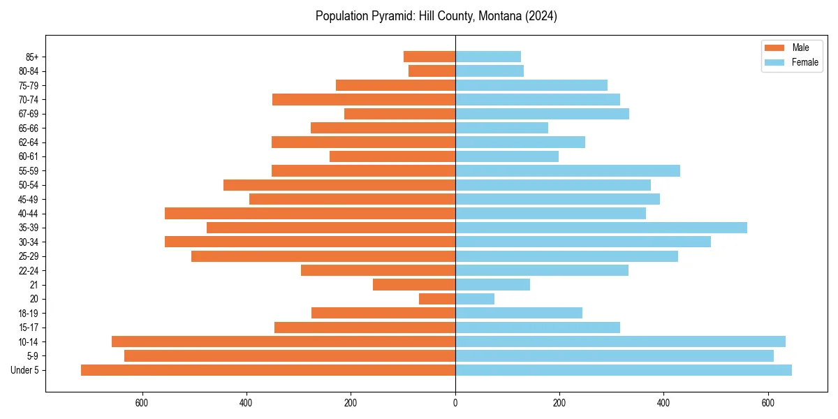 Population pyramid for 