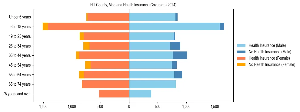 Health insurance pyramid for Hill County, Montana