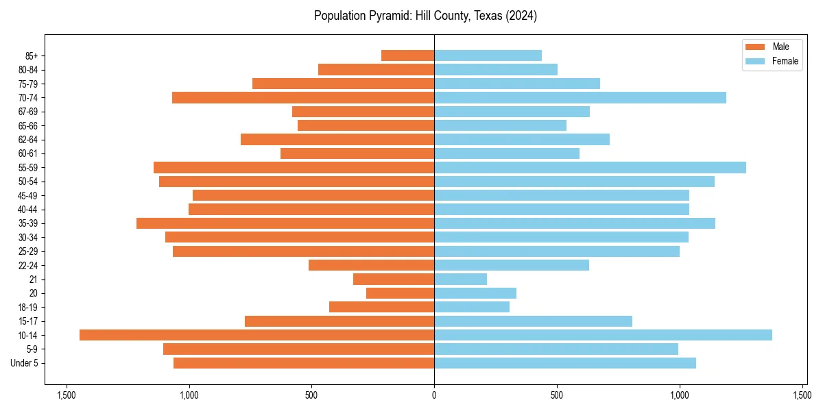 Population pyramid for 