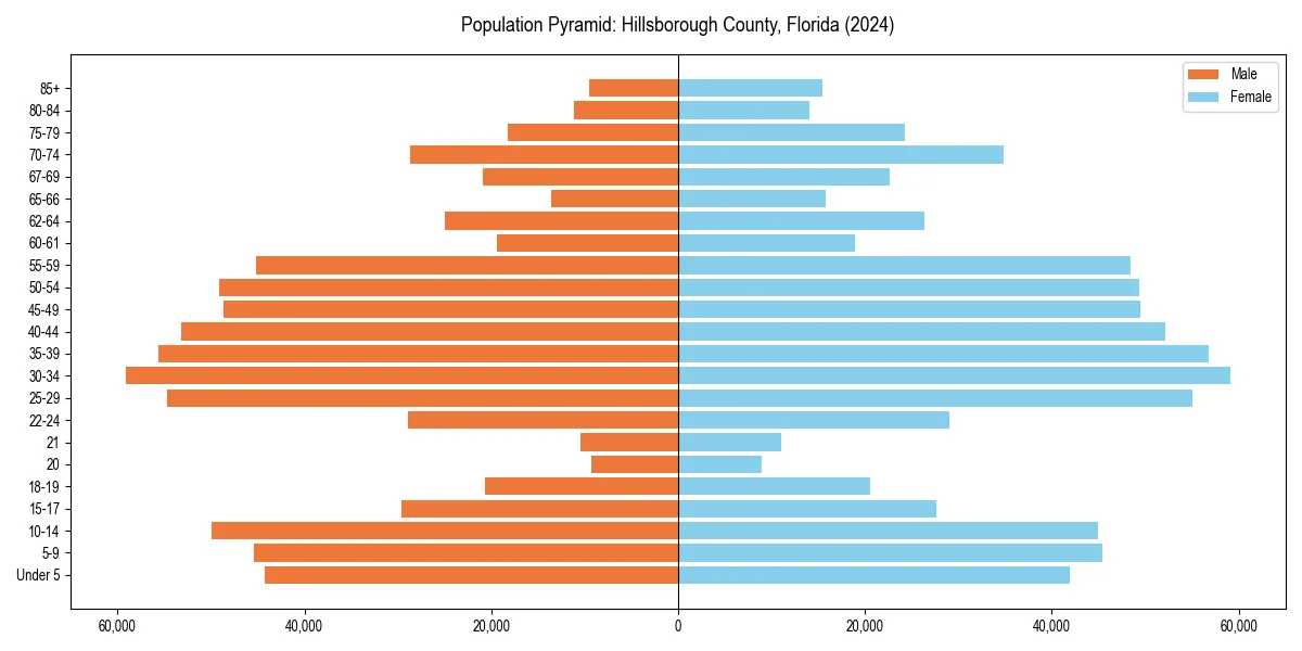 Population pyramid for 
