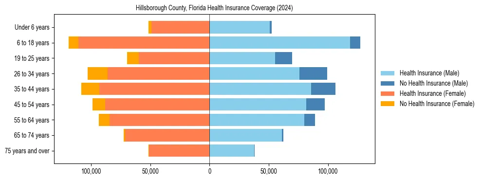 Health insurance pyramid for Hillsborough County, Florida