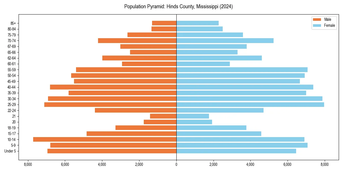 Population pyramid for 