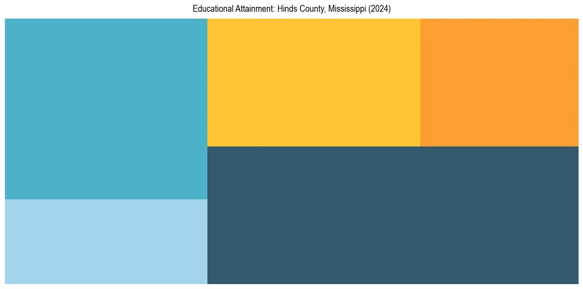 Education Treemap for  in 2024
