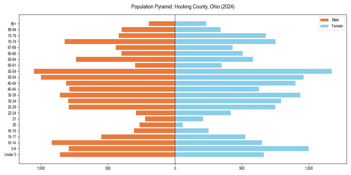 Population pyramid for 