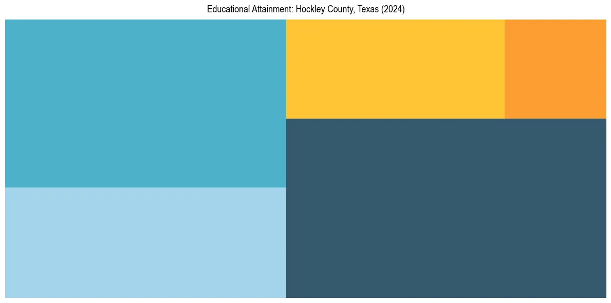 Education Treemap for  in 2024