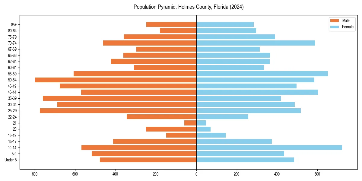 Population pyramid for 