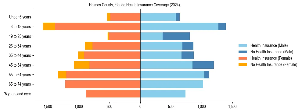 Health insurance pyramid for Holmes County, Florida