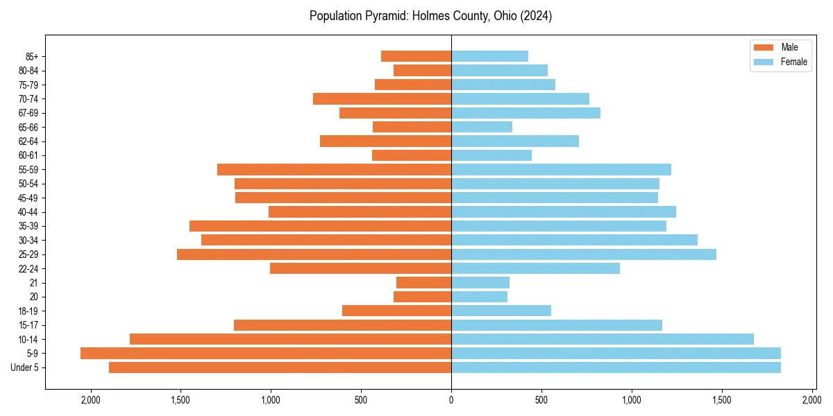 Population pyramid for