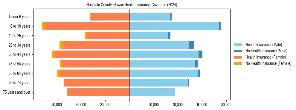 Health insurance pyramid for Honolulu County, Hawaii
