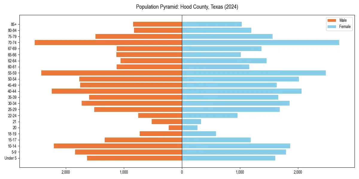 Population pyramid for 