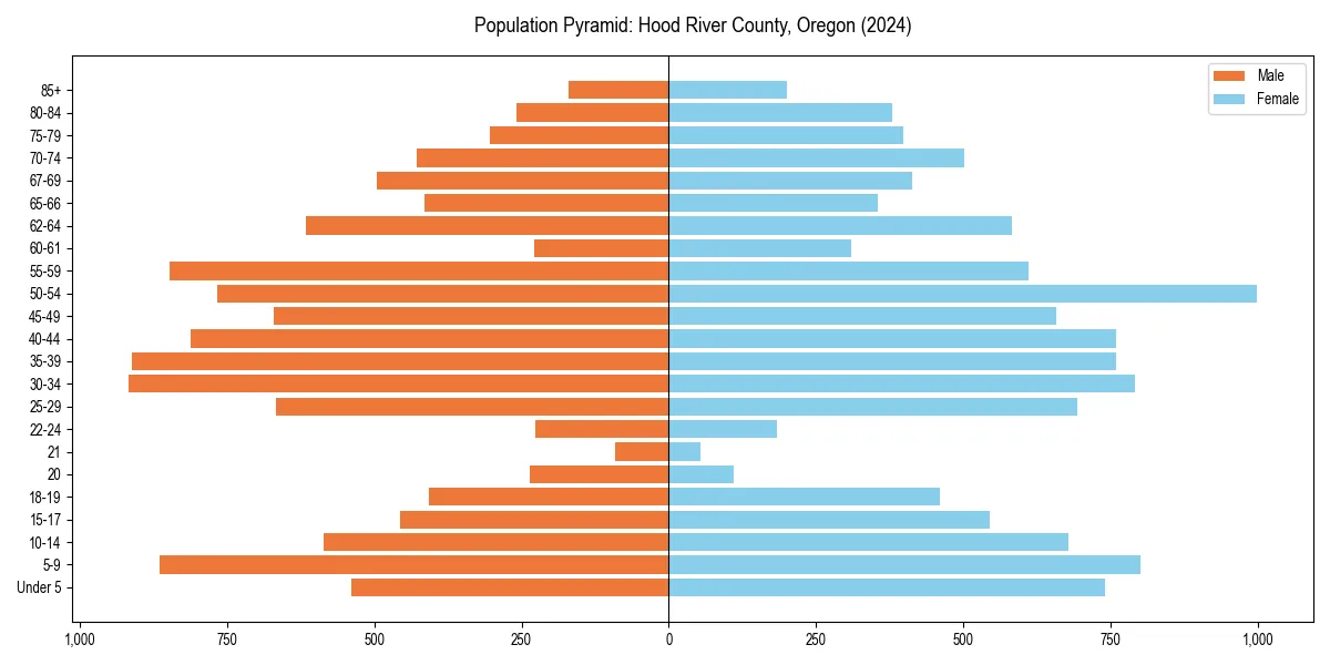 Population pyramid for 