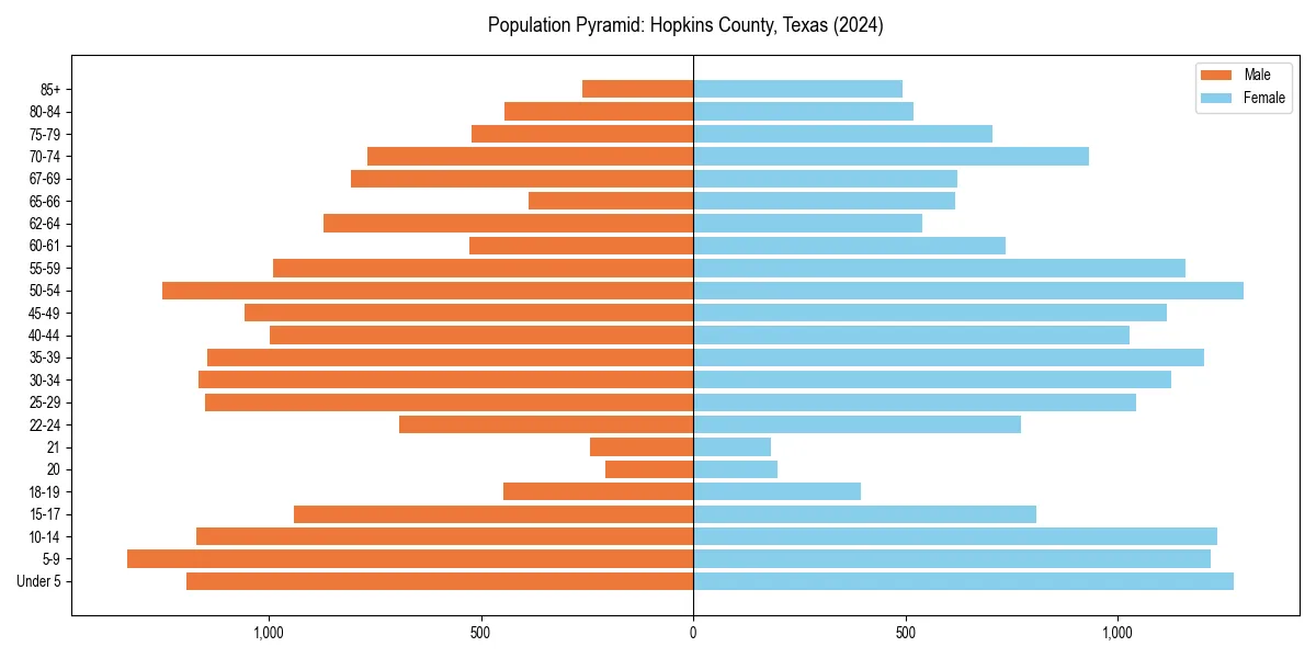 Population pyramid for 
