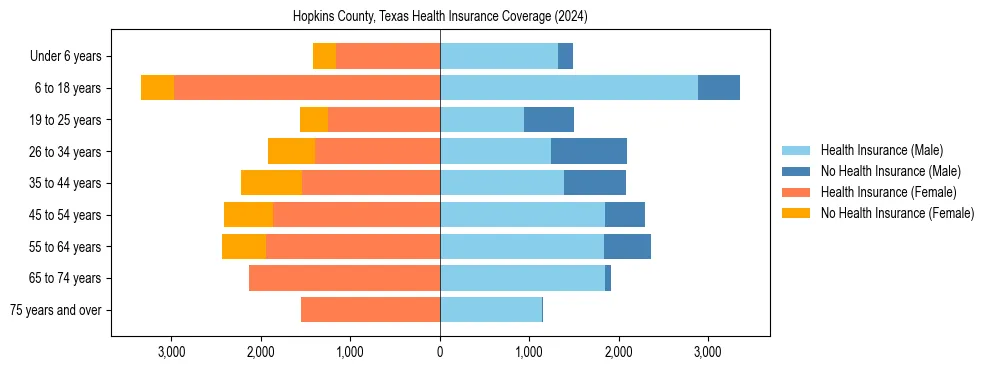 Health insurance pyramid for Hopkins County, Texas