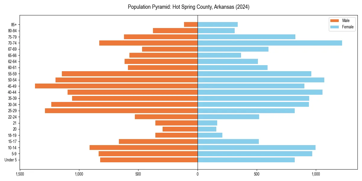 Population pyramid for 
