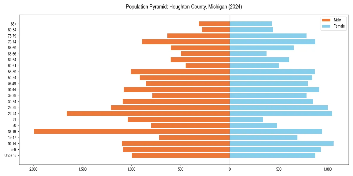 Population pyramid for 