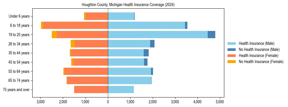 Health insurance pyramid for Houghton County, Michigan