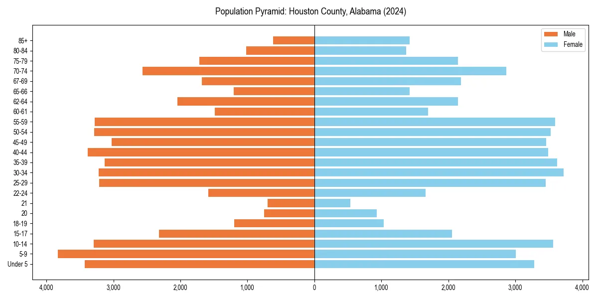 Population pyramid for 