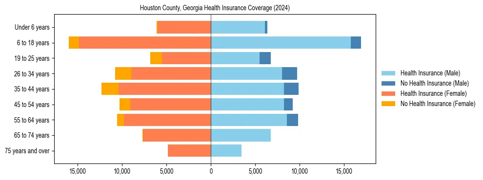 Health insurance pyramid for Houston County, Georgia