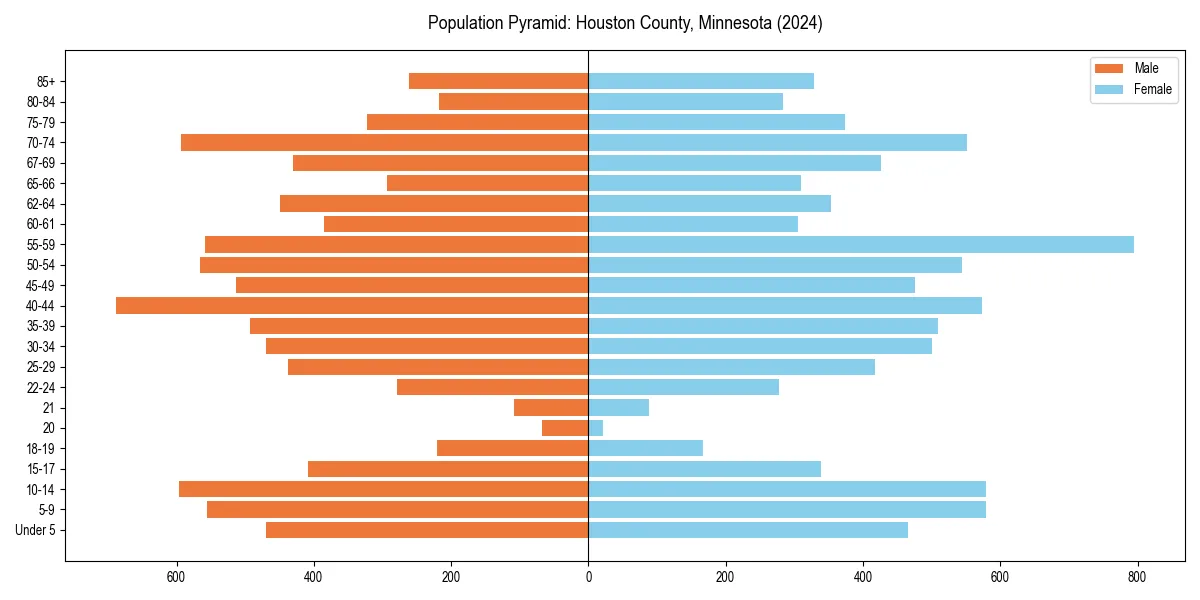 Population pyramid for 