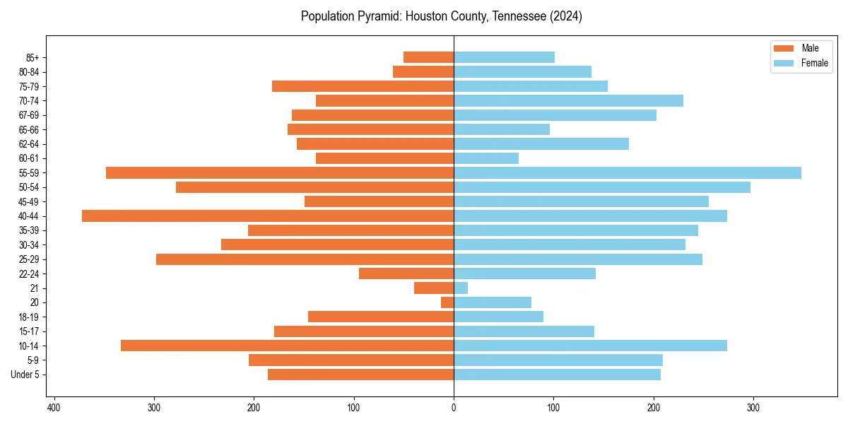 Population pyramid for 