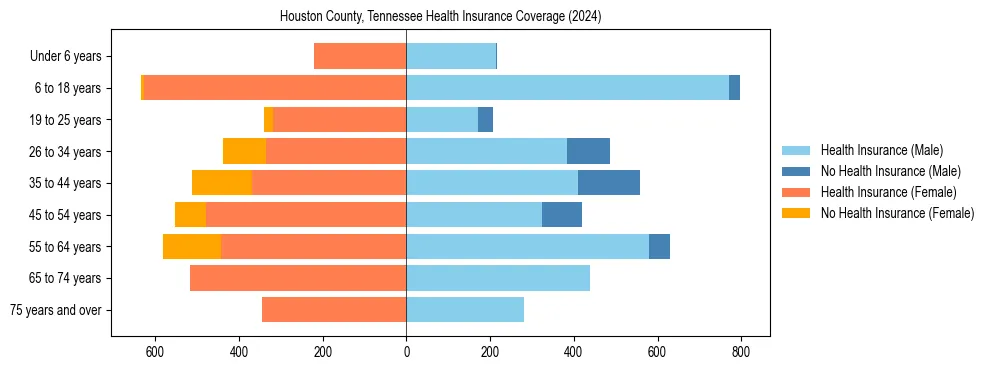 Health insurance pyramid for Houston County, Tennessee