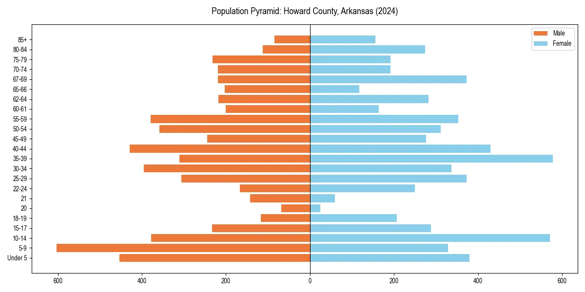 Population pyramid for 