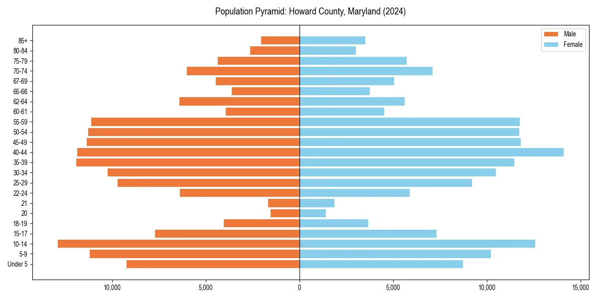 Population pyramid for 