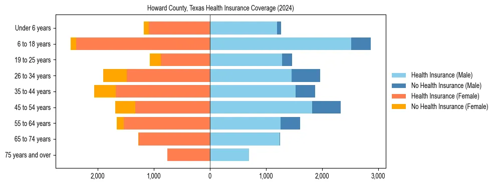 Health insurance pyramid for Howard County, Texas
