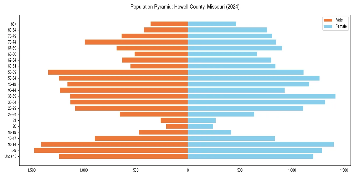 Population pyramid for 