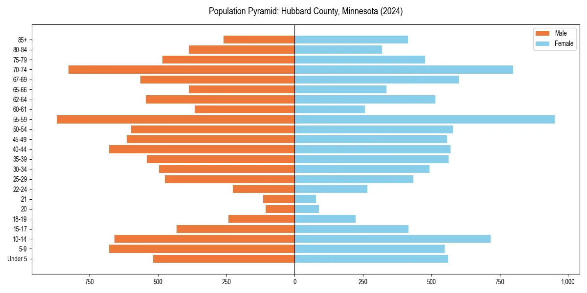 Population pyramid for 