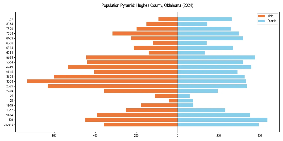 Population pyramid for 
