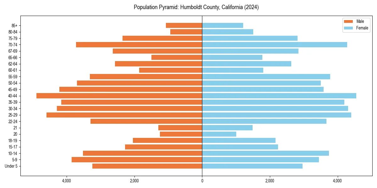 Population pyramid for 
