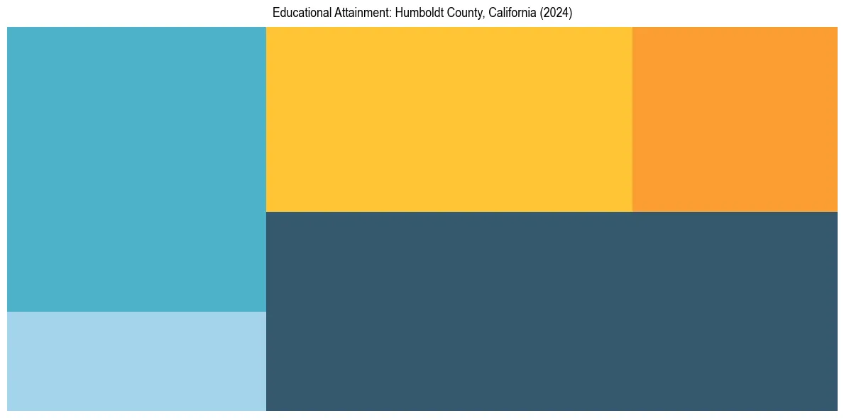Education Treemap for  in 2024