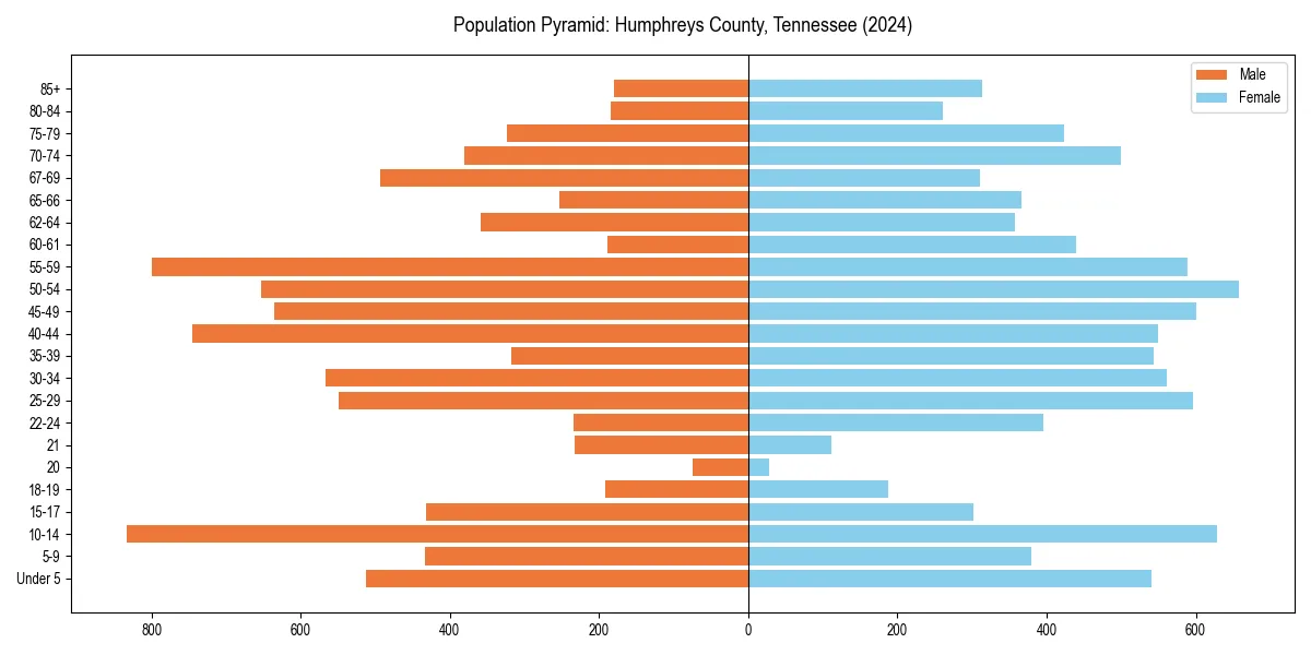 Population pyramid for 