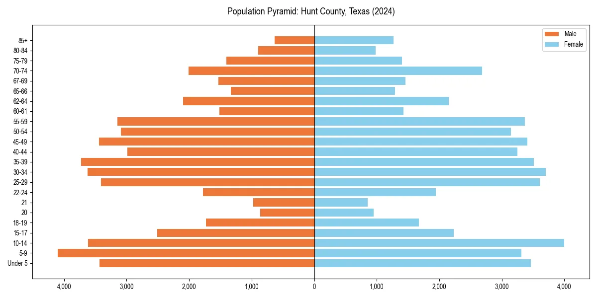 Population pyramid for 