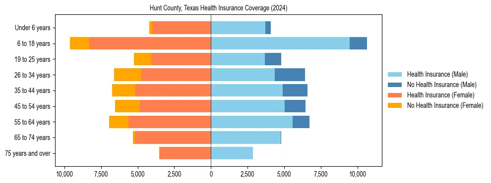 Health insurance pyramid for Hunt County, Texas