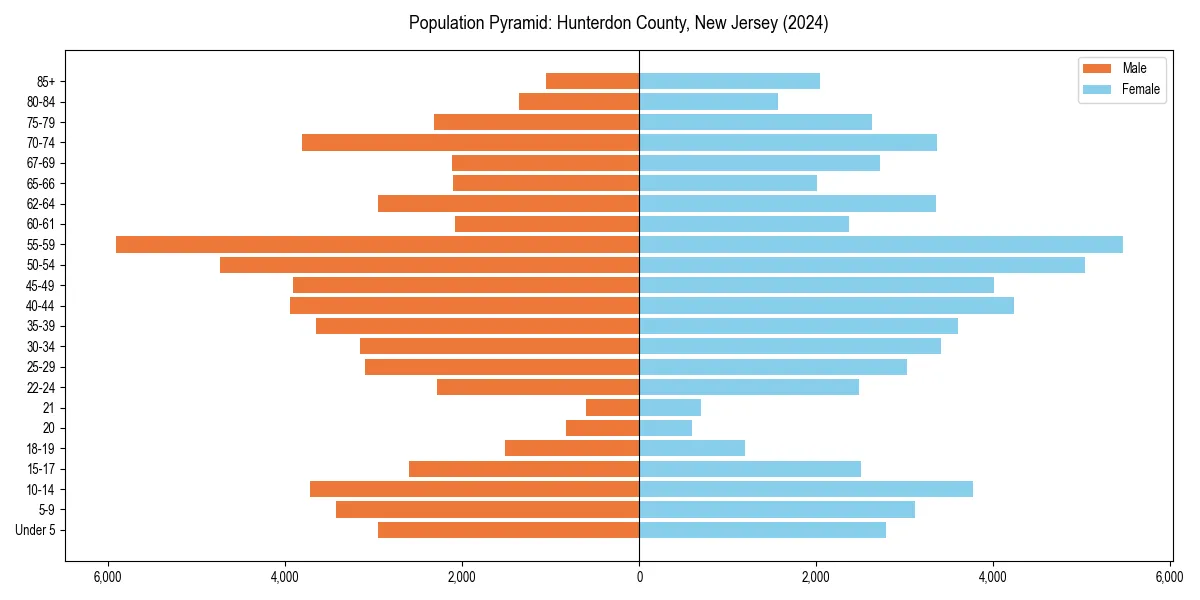 Population pyramid for 