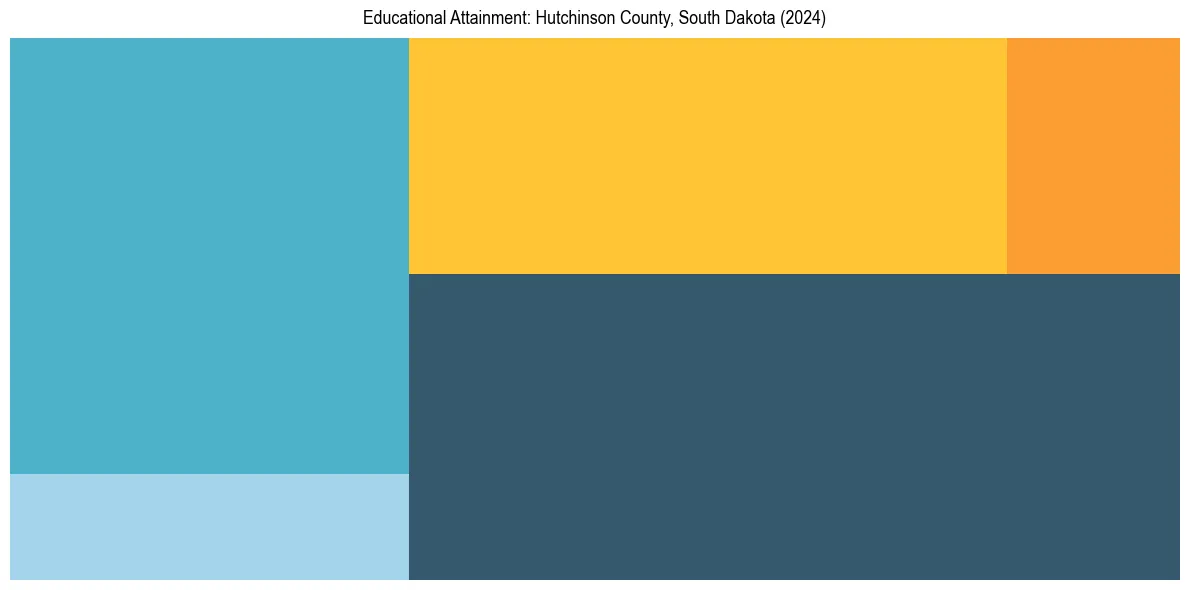 Education Treemap for  in 2024
