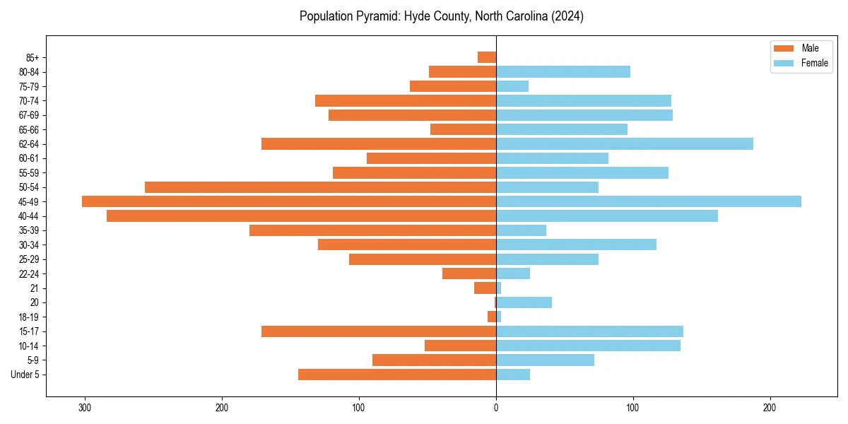 Population pyramid for 