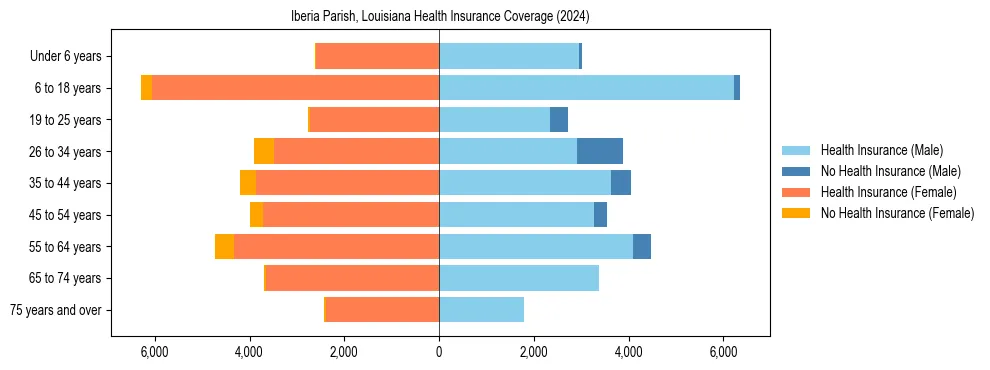 Health insurance pyramid for Iberia Parish, Louisiana