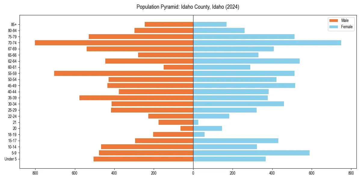 Population pyramid for 