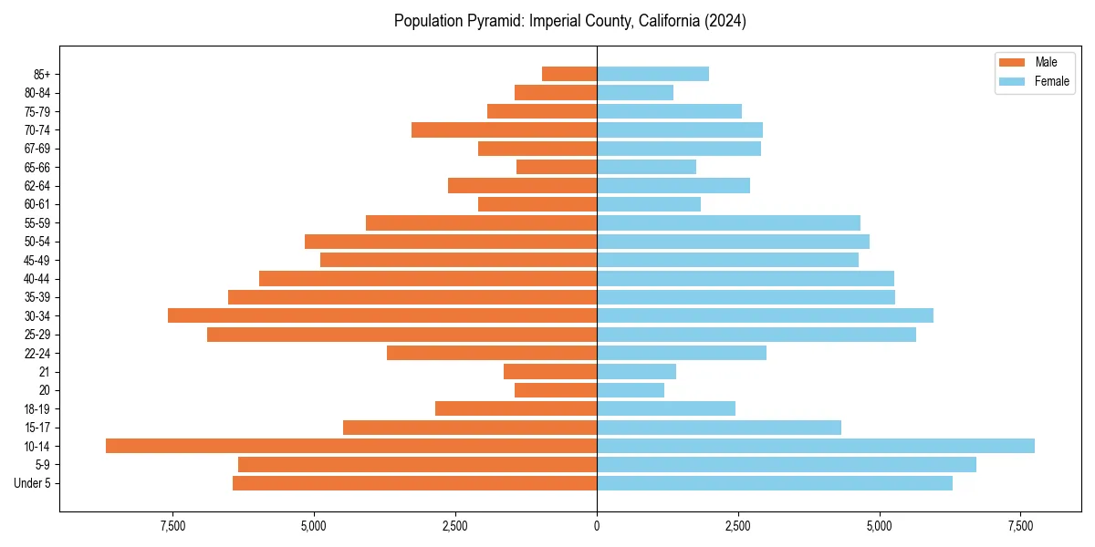 Population pyramid for 