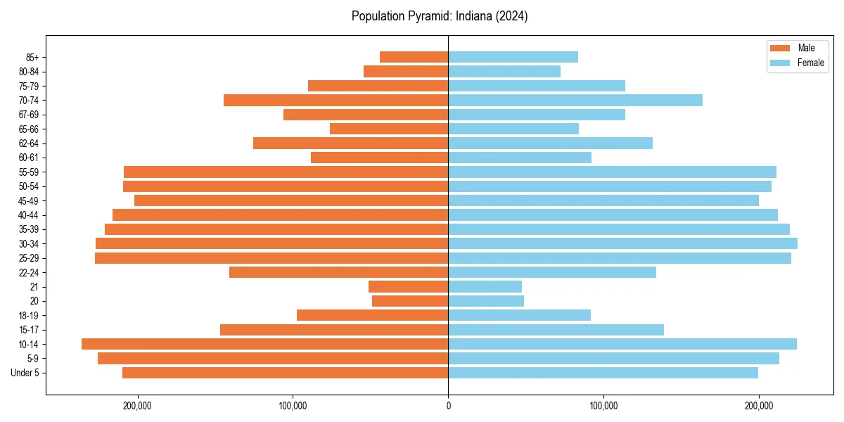 Population pyramid for 
