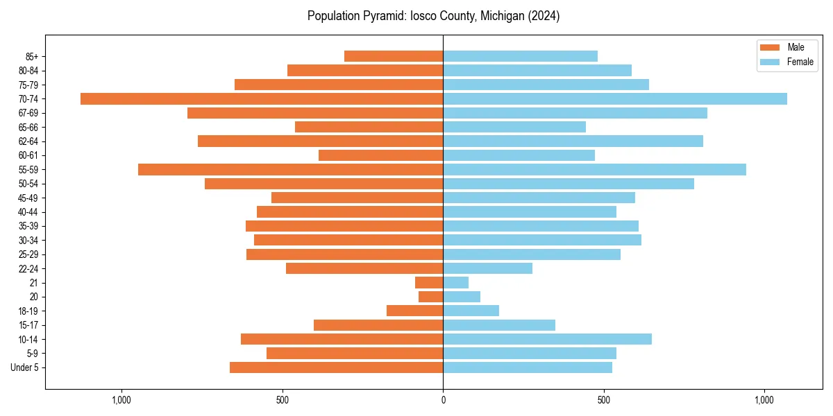 Population pyramid for 