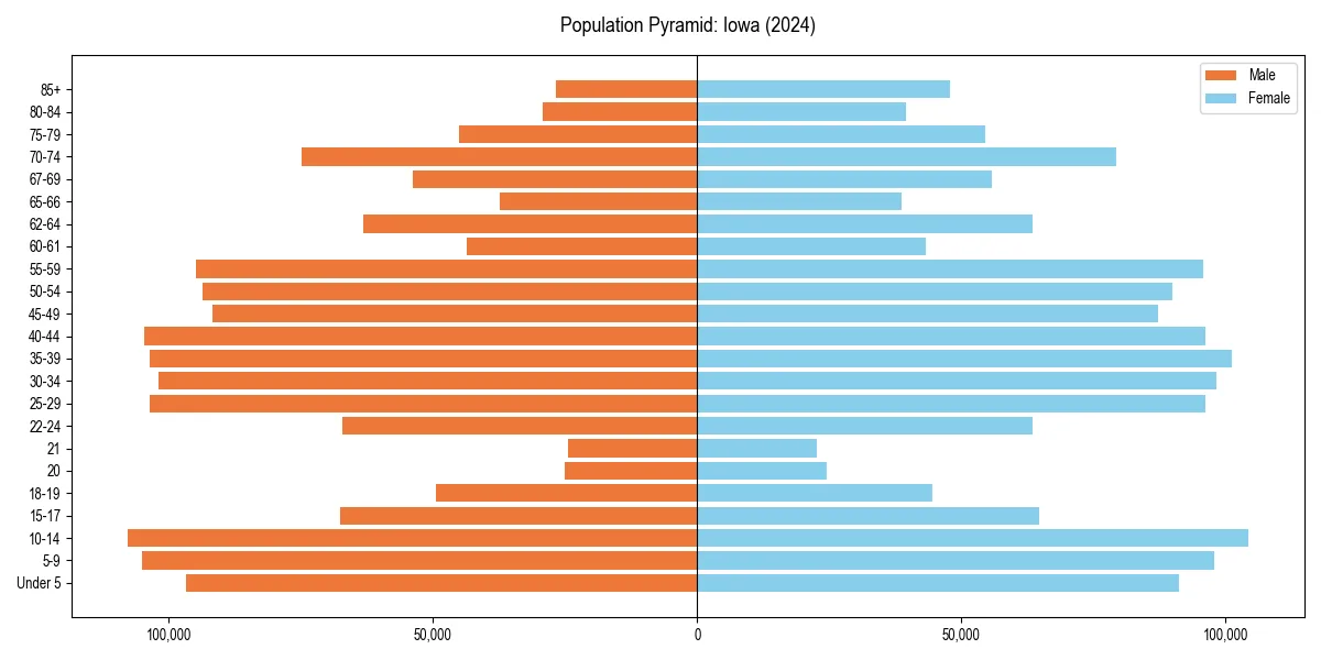 Population pyramid for 