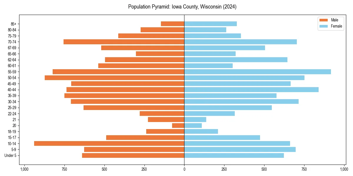 Population pyramid for 