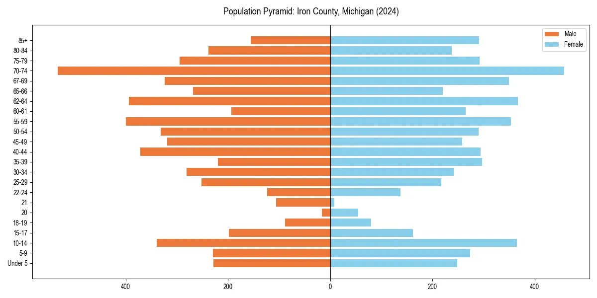 Population pyramid for 