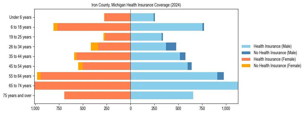 Health insurance pyramid for Iron County, Michigan