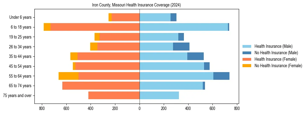 Health insurance pyramid for Iron County, Missouri